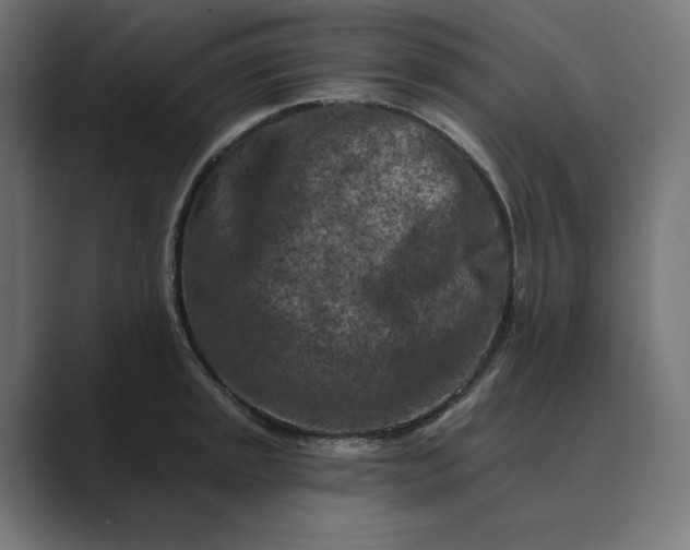 X0000089341045200706290957