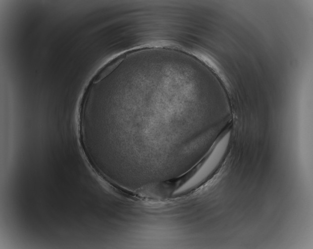 X0000089341046200706290957