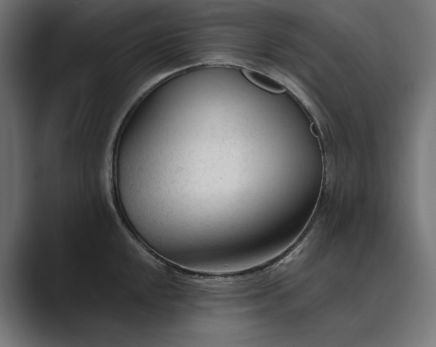 X0000089341048200706290957