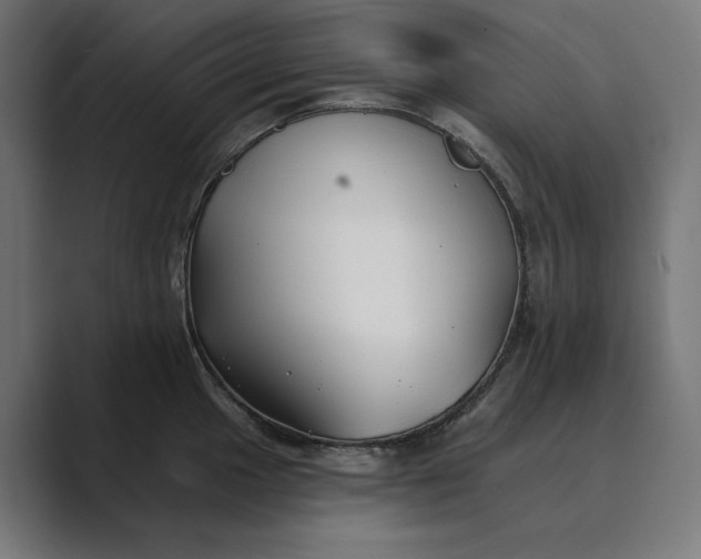 X0000089341049200706290957