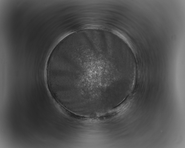 X0000089341050200706290957