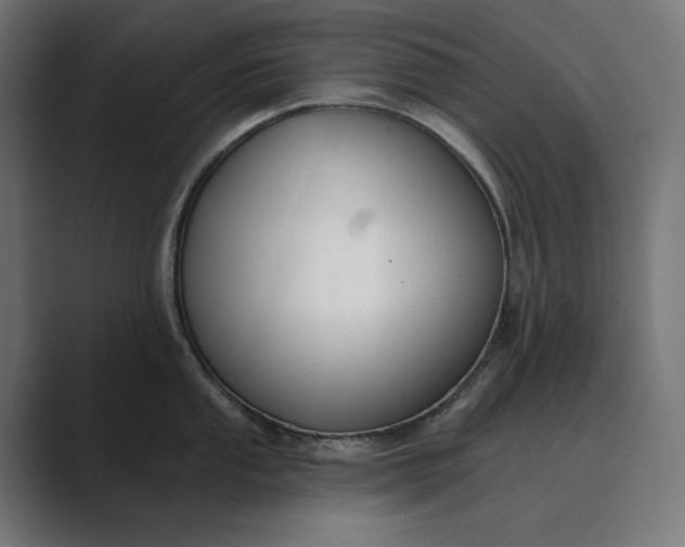 X0000089341053200706290957