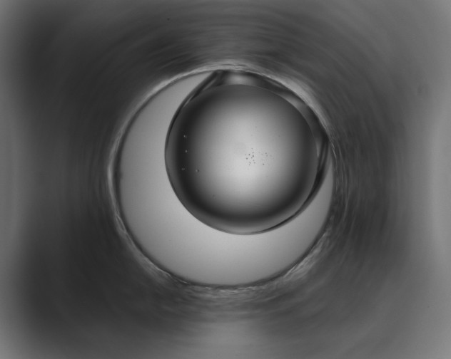 X0000089341054200706290957