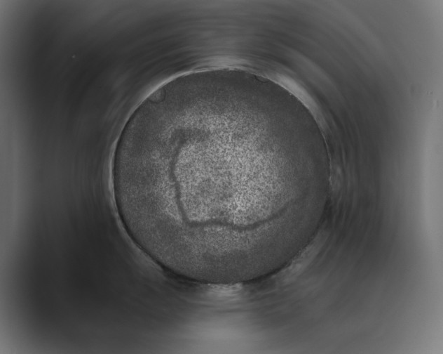 X0000089341055200706290957