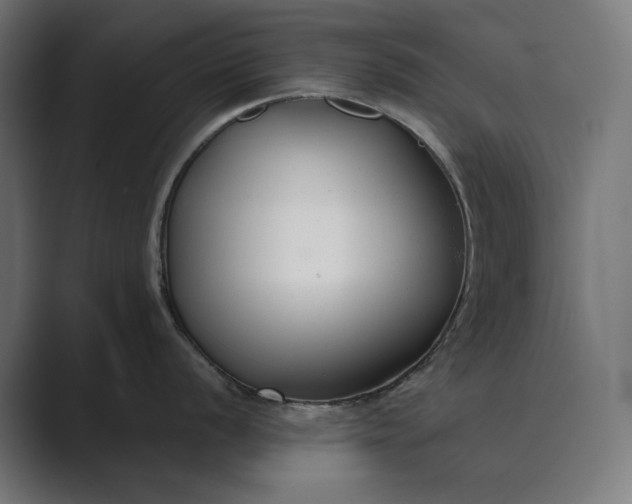 X0000089341056200706290957