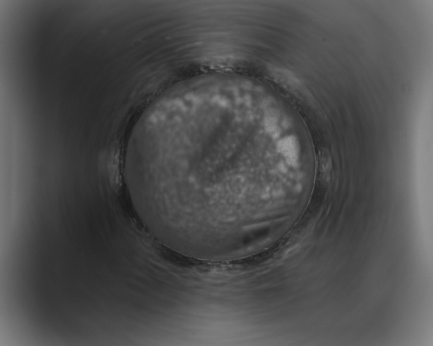 X0000089341060200706290957