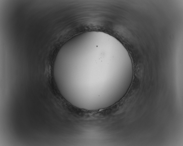 X0000089341061200706290957