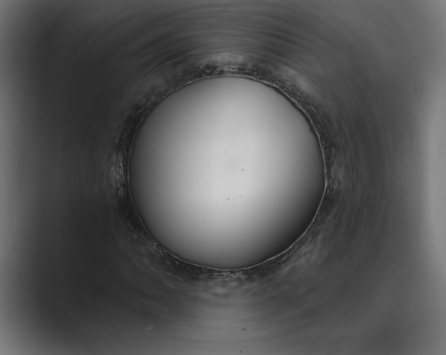 X0000089341062200706290957