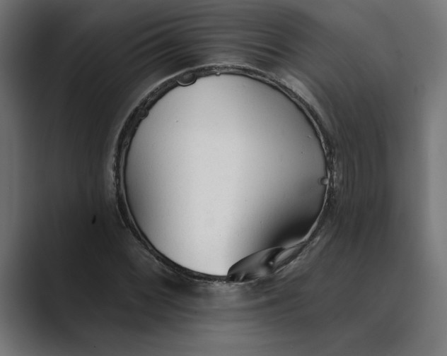 X0000089341068200706290957