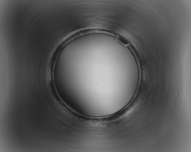 X0000089341069200706290957