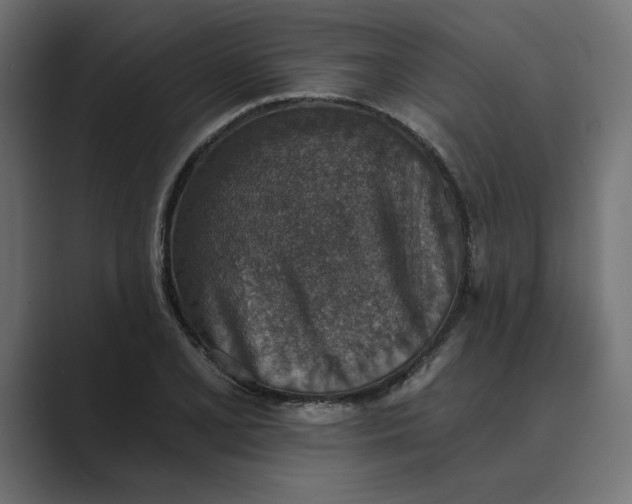 X0000089341077200706290956