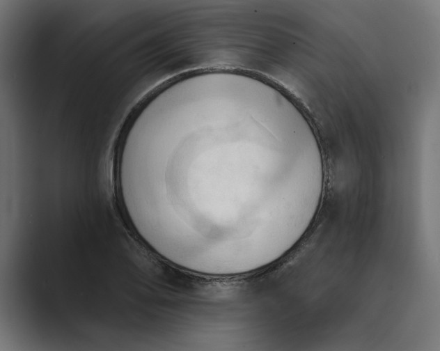 X0000089341078200706290956