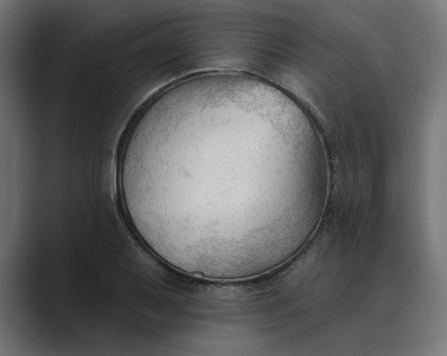 X0000089341079200706290956