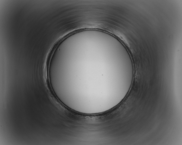 X0000089341080200706290956