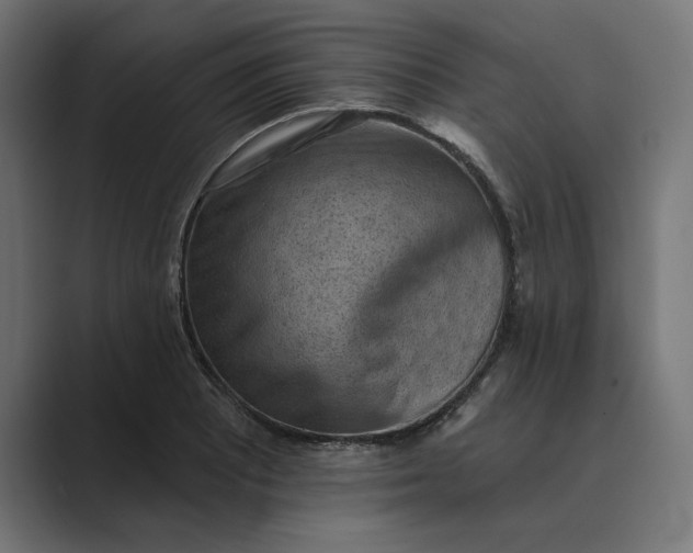 X0000089341081200706290956