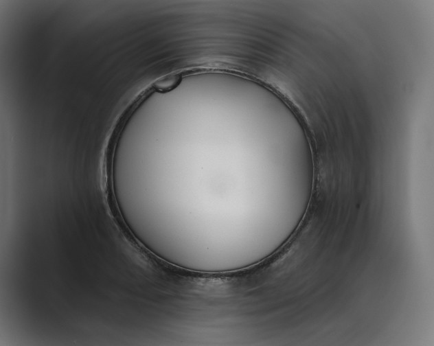 X0000089341082200706290956