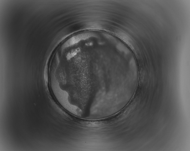 X0000089341084200706290956