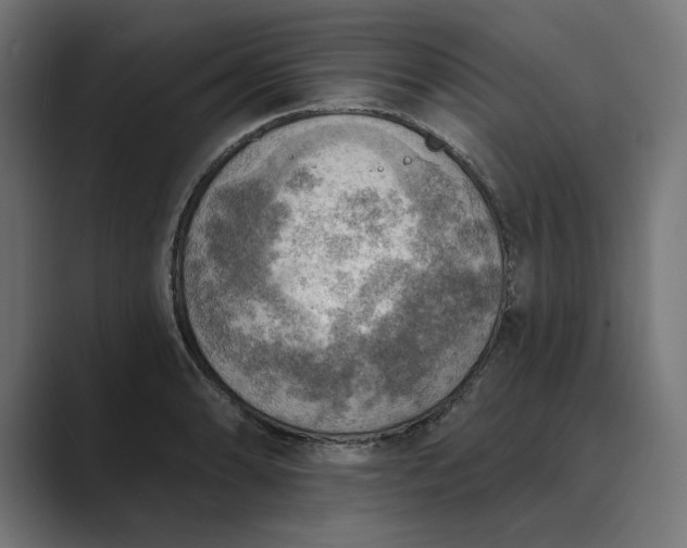 X0000089341086200706290956