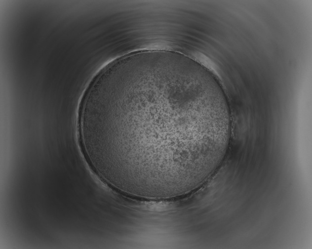 X0000089341087200706290956