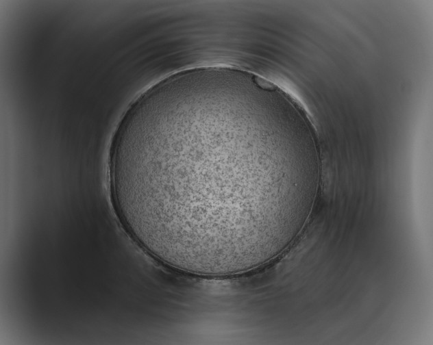 X0000089341088200706290956