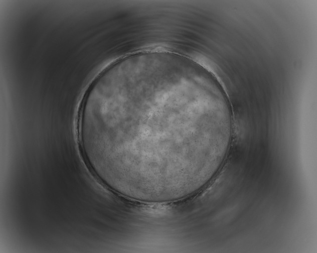 X0000089341090200706290956
