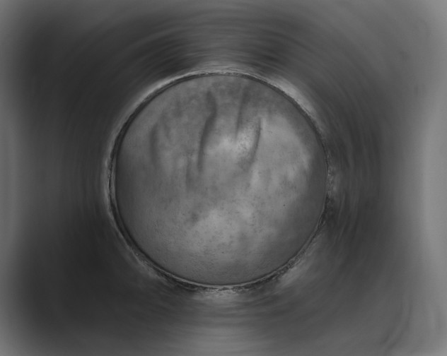 X0000089341094200706290956