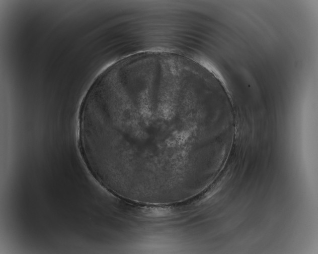 X0000089341095200706290956