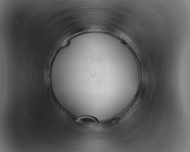 X0000089341097200706290956