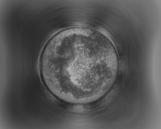 X0000089341098200706290956