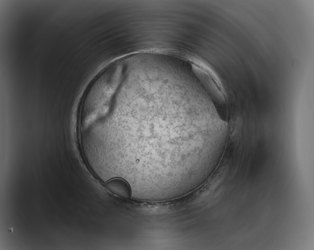 X0000089341099200706290956