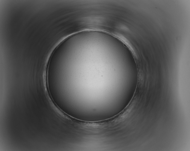 X0000089341100200706290956