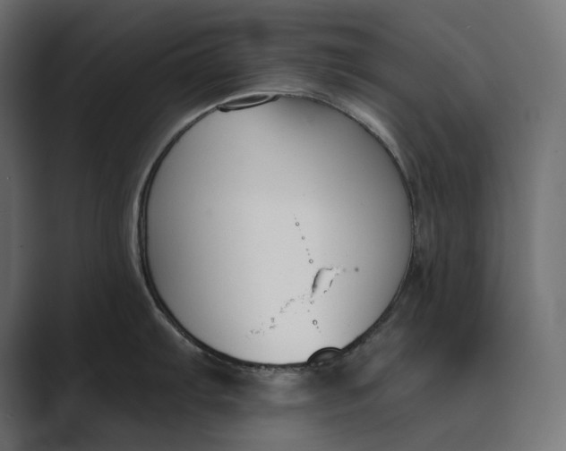 X0000089341103200706290956