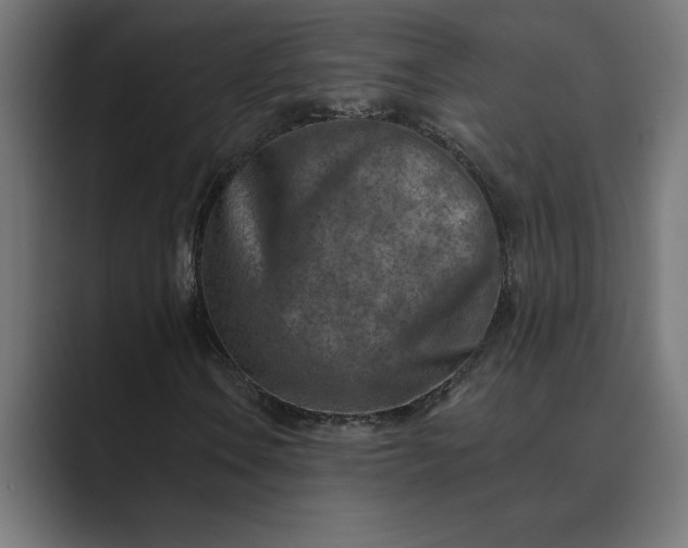 X0000089341106200706290956