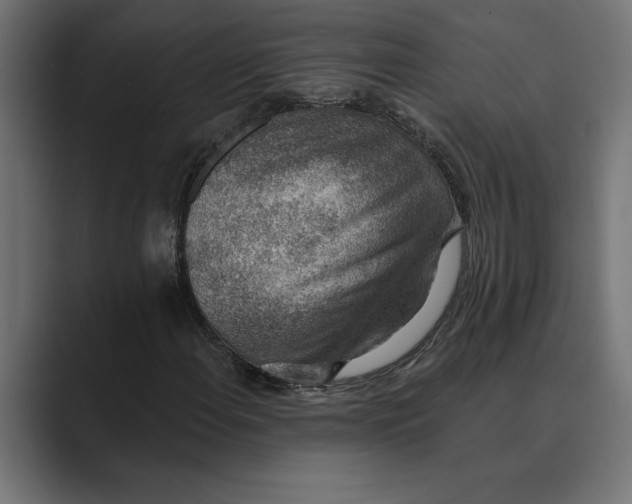 X0000089341108200706290956