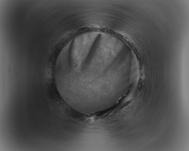 X0000089341110200706290956