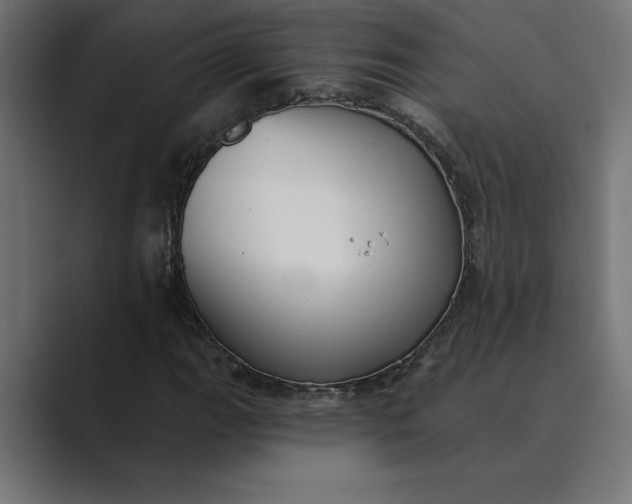 X0000089341111200706290956