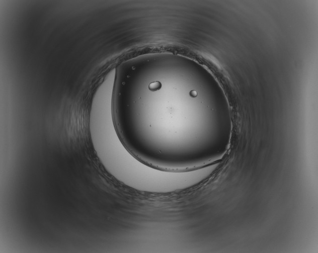 X0000089341112200706290956
