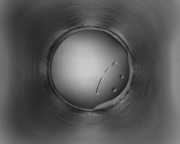 X0000089341115200706290956