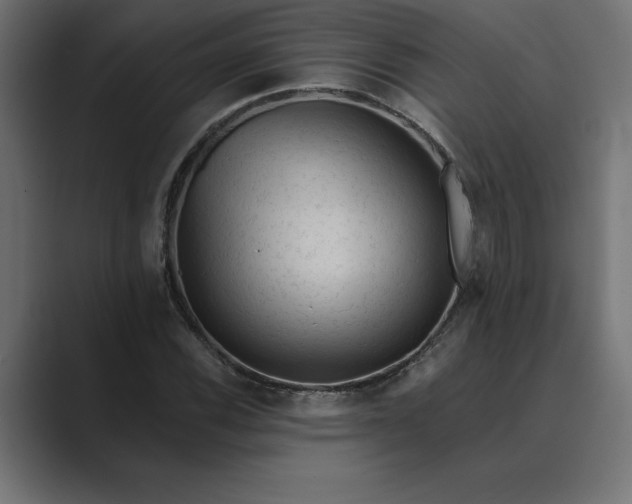X0000089341116200706290956