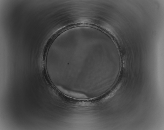 X0000089341117200706290956