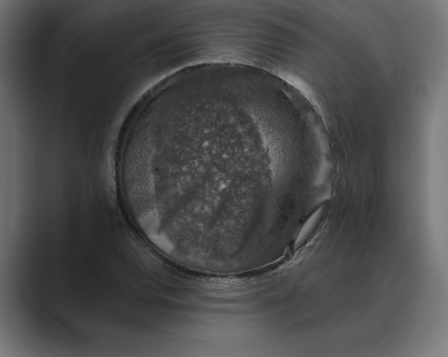 X0000089341120200706290956