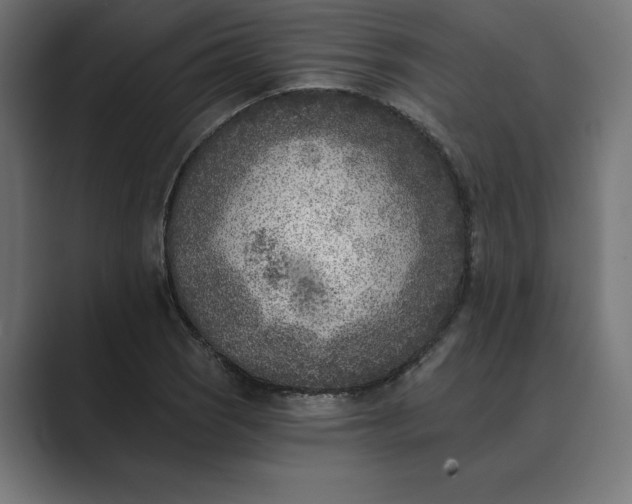 X0000089341121200706290956