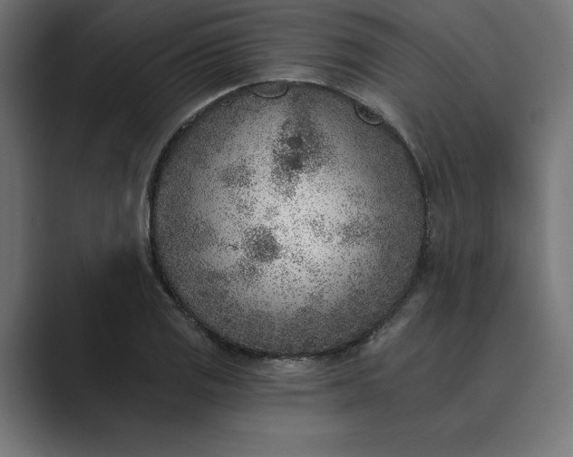 X0000089341125200706290956