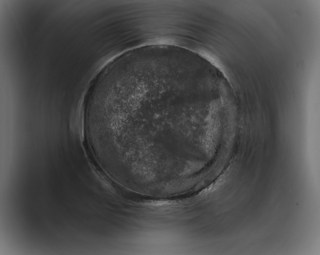 X0000089341127200706290956