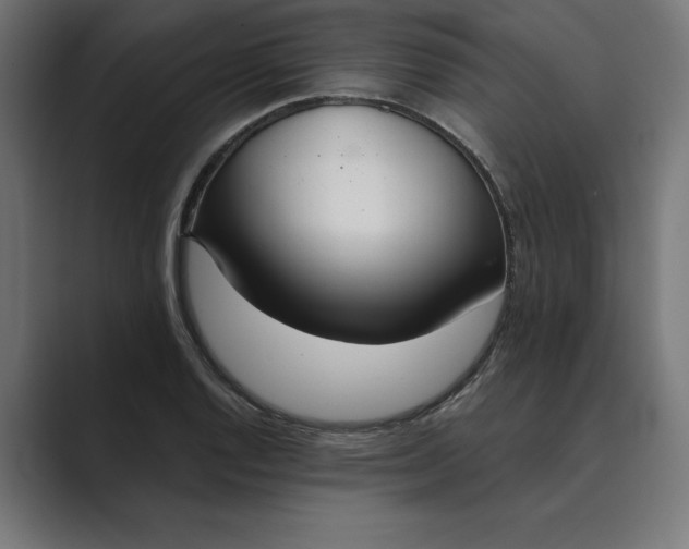 X0000089341128200706290956