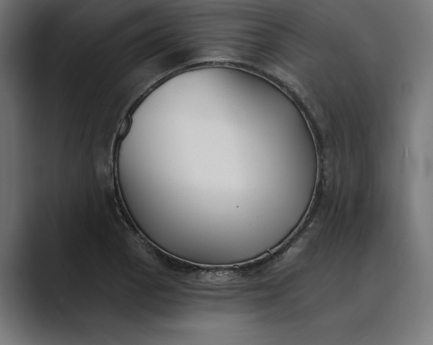X0000089341129200706290956