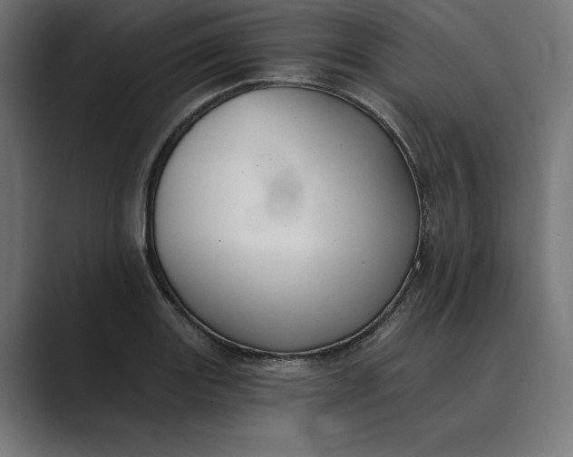 X0000089341131200706290956