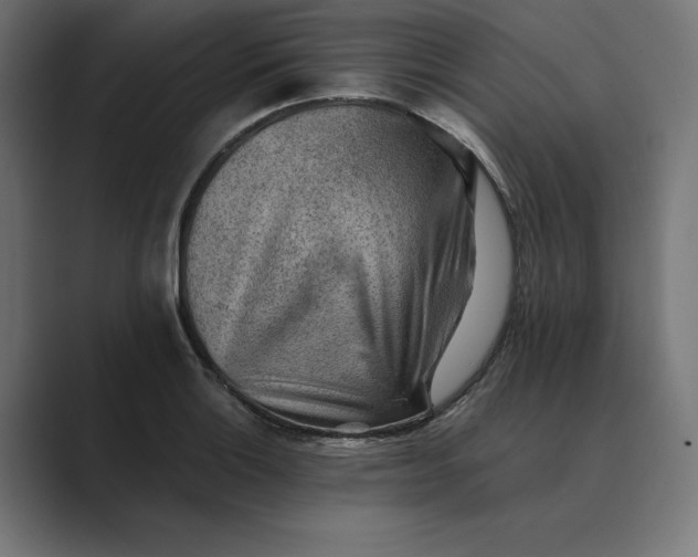 X0000089341132200706290956