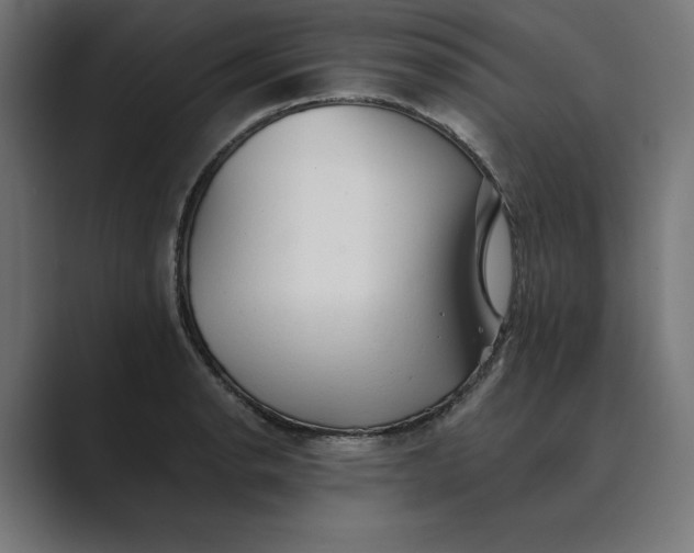 X0000089341134200706290956