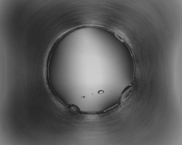 X0000089341136200706290956